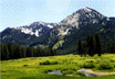 landscape.gif