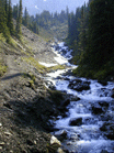 2002_Calgary/P7170126.gif