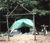 96vk/tent.gif